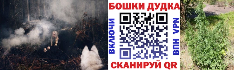 Конопля MAZAR  закладка  Томмот 